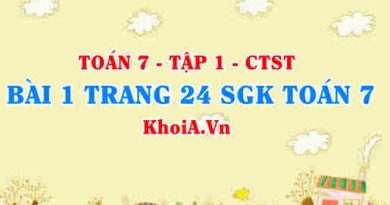 Bài 1 trang 24 SGK Toán 7 tập 1 Chân trời sáng tạo